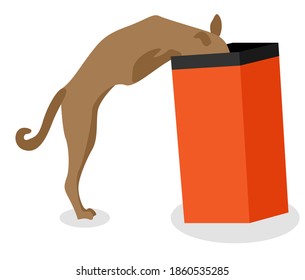 why do dogs eat garbage