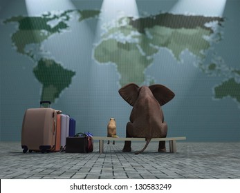 Dog And Elephant Travel