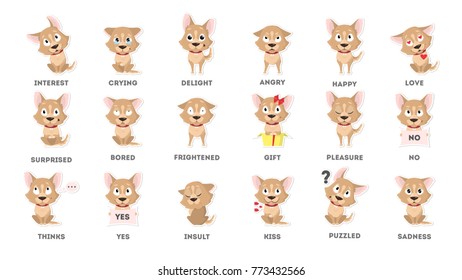 Dog emotions set. Funny cartoon emoji. Smiling and angry, sad and delight dog.