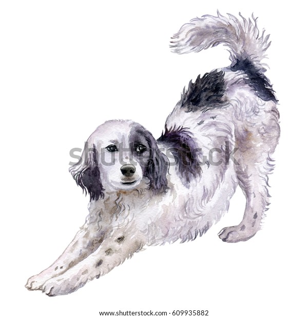 犬の英語設定者 水の色 白い背景にイラトス 白黒の犬が伸びている のイラスト素材