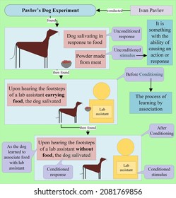 Pavlov’s Dog Experiment Regarding Conditioning