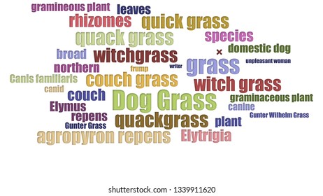 Dog Grass Word Cloud In Rows On White Background