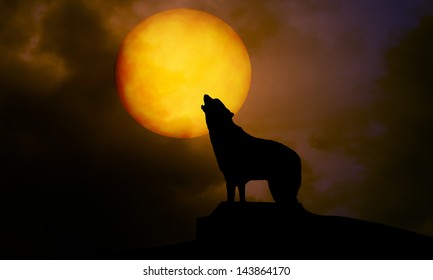 dog and moon at night