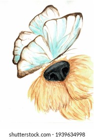 Dog Nose With Butterfly Watercolor Illustration