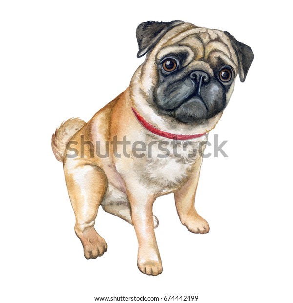 pug template browser