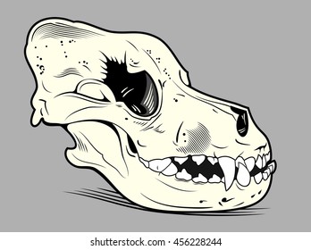 Dog Skull