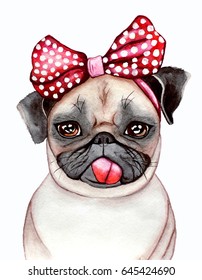 Dog with tongue. Sweet pug with bow on head. Watercolor Illustration