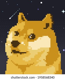 Doge To The Moon Potrait