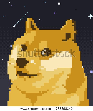 Doge to the moon potrait