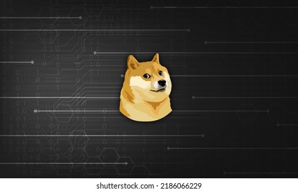 Dogecoin Doge banner. DOGE coin cryptocurrency concept banner background.