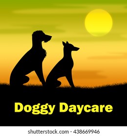 Doggy Daycare Indicating Grassy Canines And Night