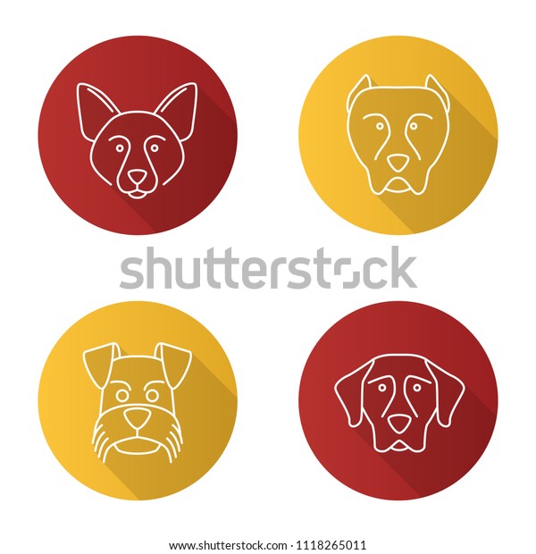 Dogs Breeds Flat Linear Long Shadow Stock Illustration 1118265011