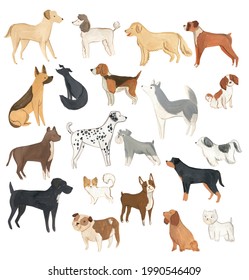 Dogs illustration set with cute animals watercolor 