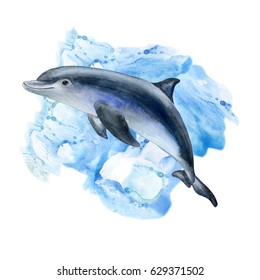 A dolphin with an abstract marine background. Watercolor. Illustration. Design, textiles, books, postcards, logo