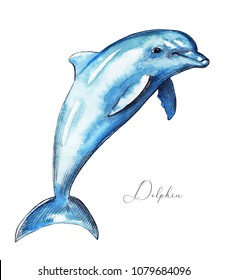 Dolphin isolated on white background. Watercolor hand drawn illustration