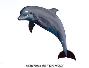 Dolphin Jump Isolated