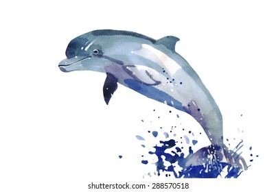 Dolphin. Watercolor illustration isolated on white background
