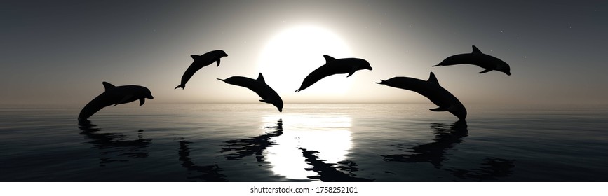 Dolphins Play At Sunset, 3D Rendering