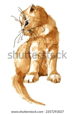 Domestic animals.Red fluffy tabby kitten sits and looks to the right.Watercolor hand-drawn illustration on a white background.