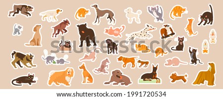 Similar – Image, Stock Photo sleep in… Animal Pet Cat