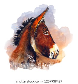donkey water color illustration