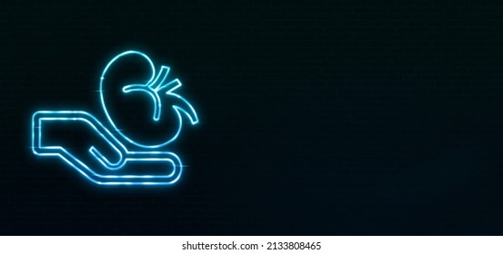 Donors Health Insurance Policy Icon Neon Style