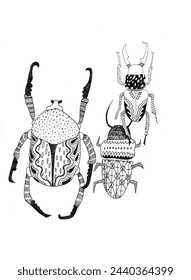 Doodle, black and white beetles with patterns on white background