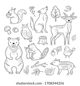 Doodle forest animals. Woodland cute baby animal squirrel wolf owl bear deer snail childrens sketch hand drawn set