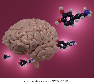 Dopamine is released when your brain is expecting a reward. Human brain producing dopamine molecule  3d rendering