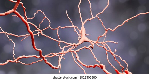 Dopaminergic neuron, computer reconstruction. Dysfunction of this brain cells are responsible for development of Parkinson's disease, autism and schizophrenia, 3D illustration