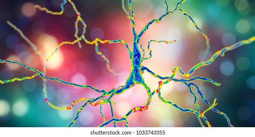 Dopaminergic neuron, computer reconstruction. Dysfunction of this brain cells are responsible for development of Parkinson's disease, autism and schizophrenia, 3D illustration