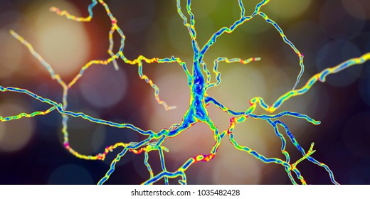 Dopaminergic neuron, computer reconstruction. Dysfunction of this brain cells are responsible for development of Parkinson's disease, autism and schizophrenia, 3D illustration