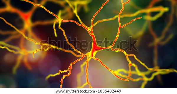 Dopaminergic neuron,\
computer reconstruction. Dysfunction of this brain cells are\
responsible for development of Parkinson\'s disease, autism and\
schizophrenia, 3D\
illustration