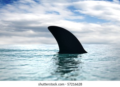 Dorsal Shark Fin Cuts Through The Water Surface