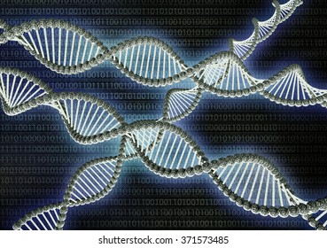 Double Helix Dna Made Out Of Binary Computer Code