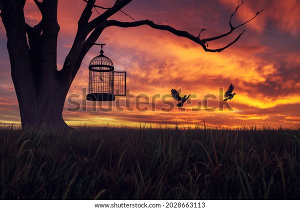 Dove birds escaping or released\
free from cage, hanging on a tree at sunset. 3D\
Illustration