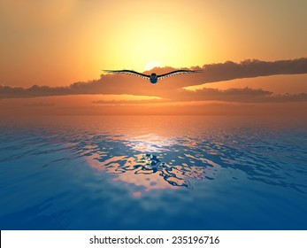 Dove flying over the sea on sunset background