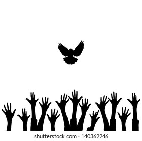 dove and hands