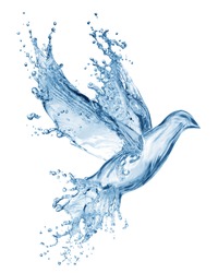Dove Made Out Of Water Splashes Isolated On White