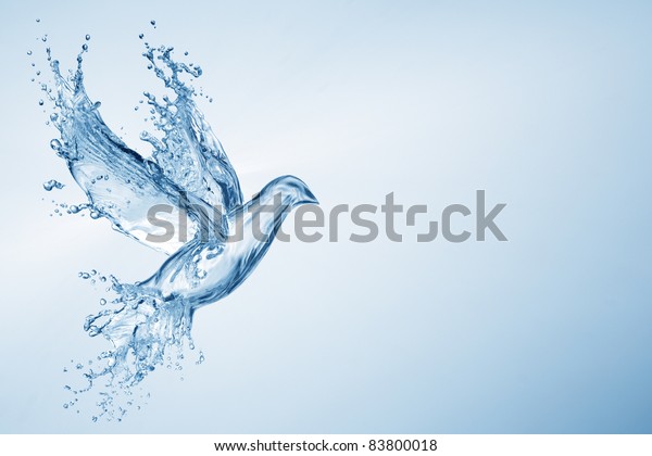 dove made
out of water splashes isolated on
white