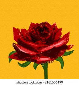 Download Picture Of A Red Rose