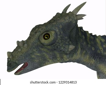 dracorex dinosaur