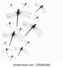 Dragon Fly Pattern