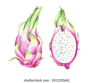 197 Watercolour flowers half Images, Stock Photos & Vectors | Shutterstock