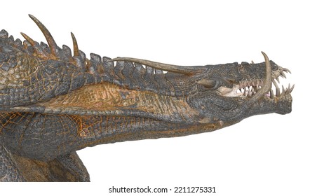 Dragon Id Picture On White Background Stock Illustration 2211275331 ...