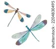 dragonfly artwork