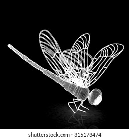 Dragonfly