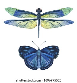 Dragonfly And Butterfly Drawn In Watercolor. For Print And Postcards. Graceful Insects