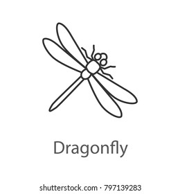 Dragonfly Linear Icon. Insect. Thin Line Illustration. Contour Symbol. Raster Isolated Outline Drawing