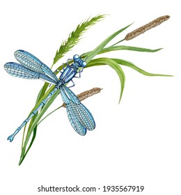 279,042 Dragonfly Images, Stock Photos & Vectors | Shutterstock